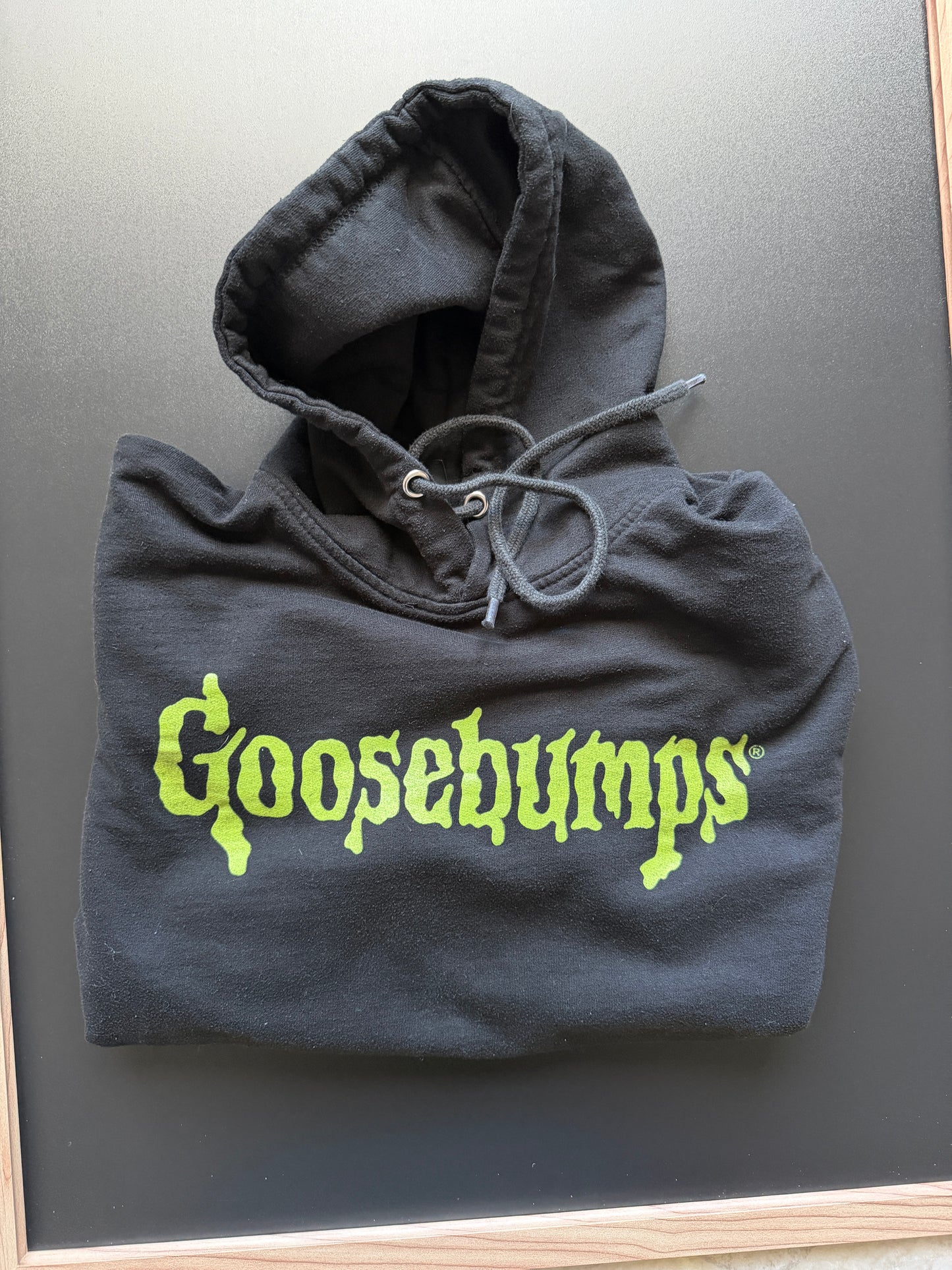 Goosebumps Vintage Logo Unisex Hoodie