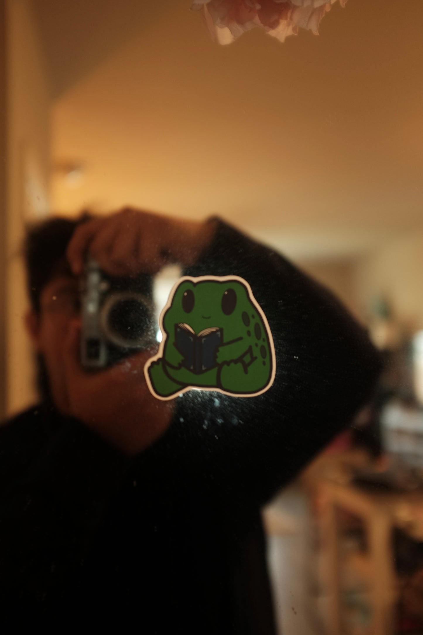 Ted' The Reading Frog Sticker